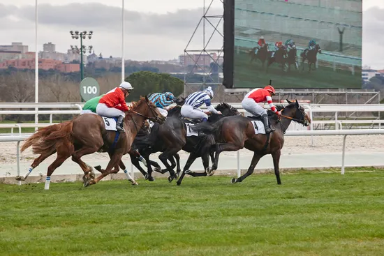 Tips to Consider When Betting in Malaysia Horse Racing Live